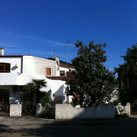Palma Apartment